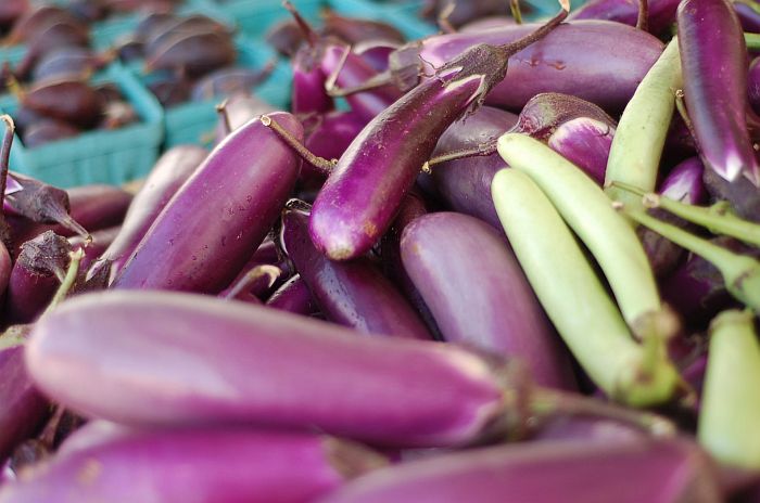 Japanese Eggplants farmers market Coral Gables